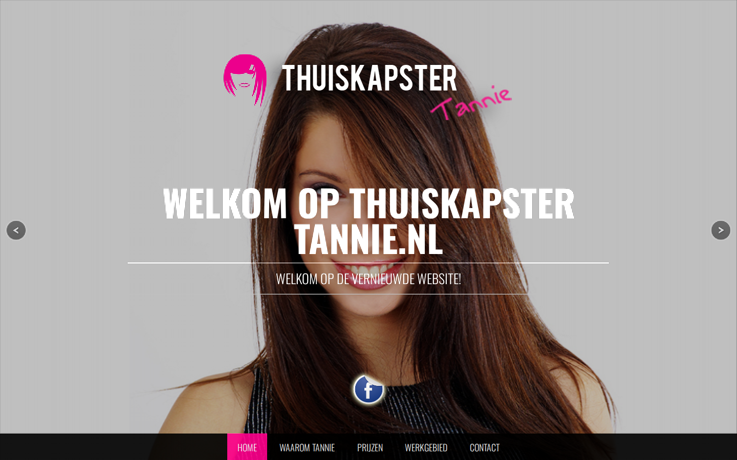 Huidige homepage op een computer: donkere foto met rasterpatroon en een smalle menubalk onderin